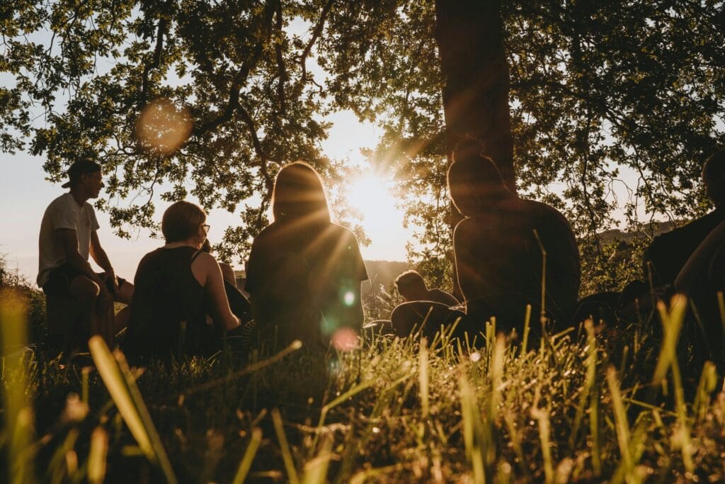 A group sitting in the grass with the sun shining through a tree