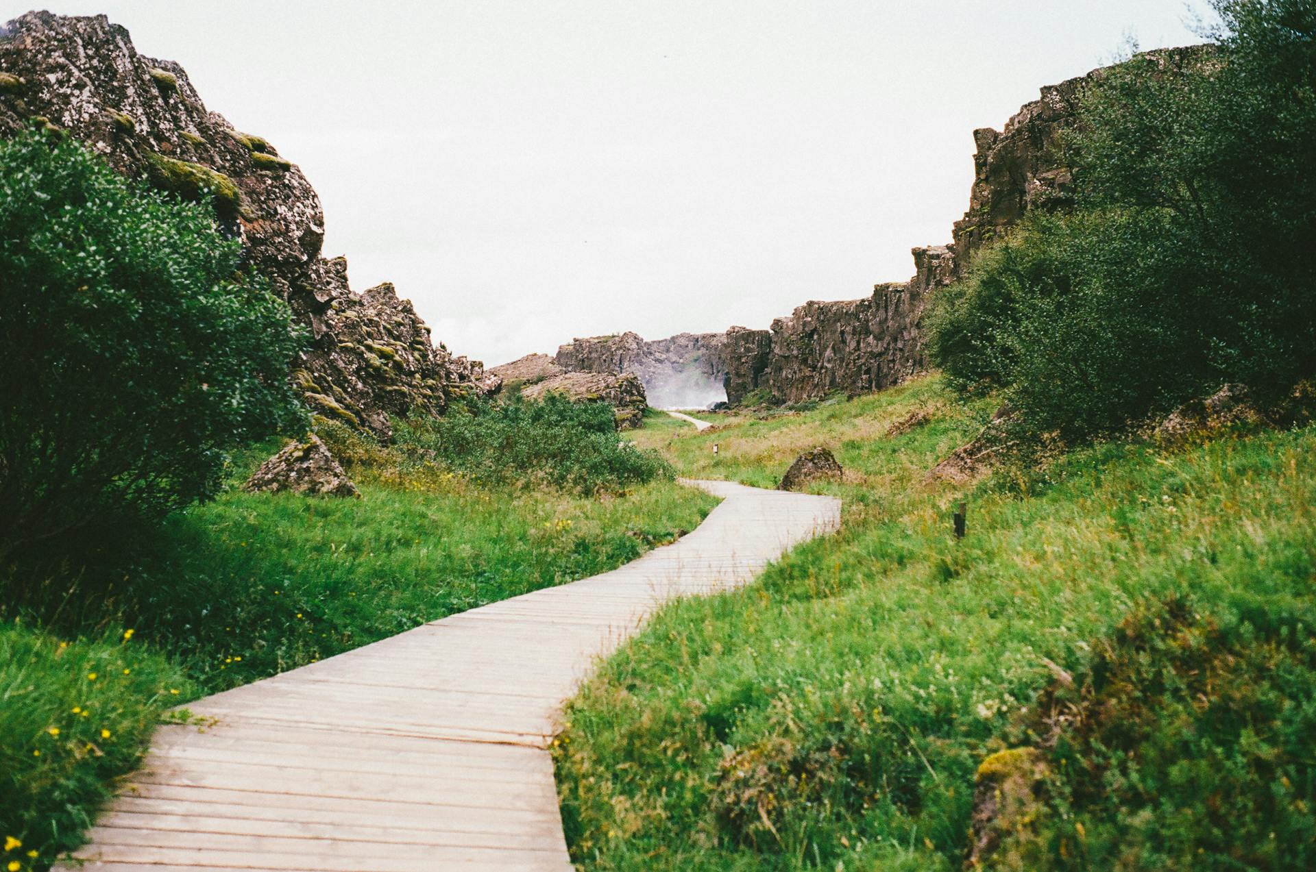 pexels jaymantri 4805 a path cutting through a grassy valley