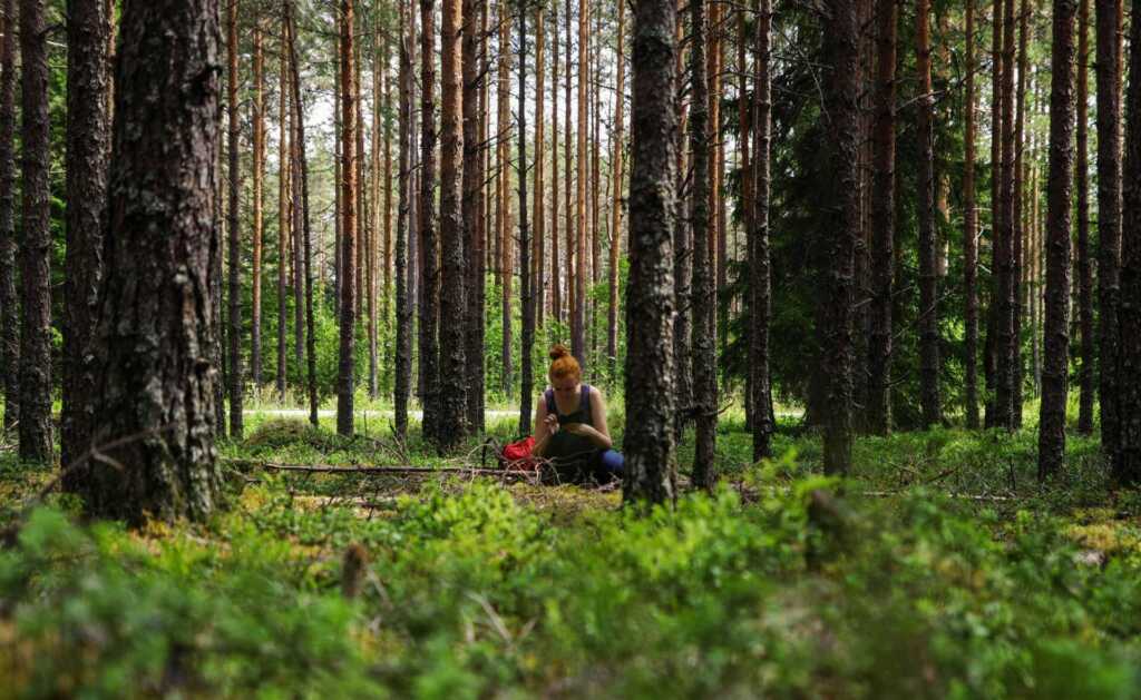 A woman sitting in a forest of trees