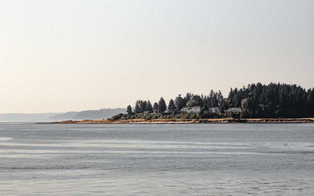 A shoreline in Seattle looking at an island covered in trees