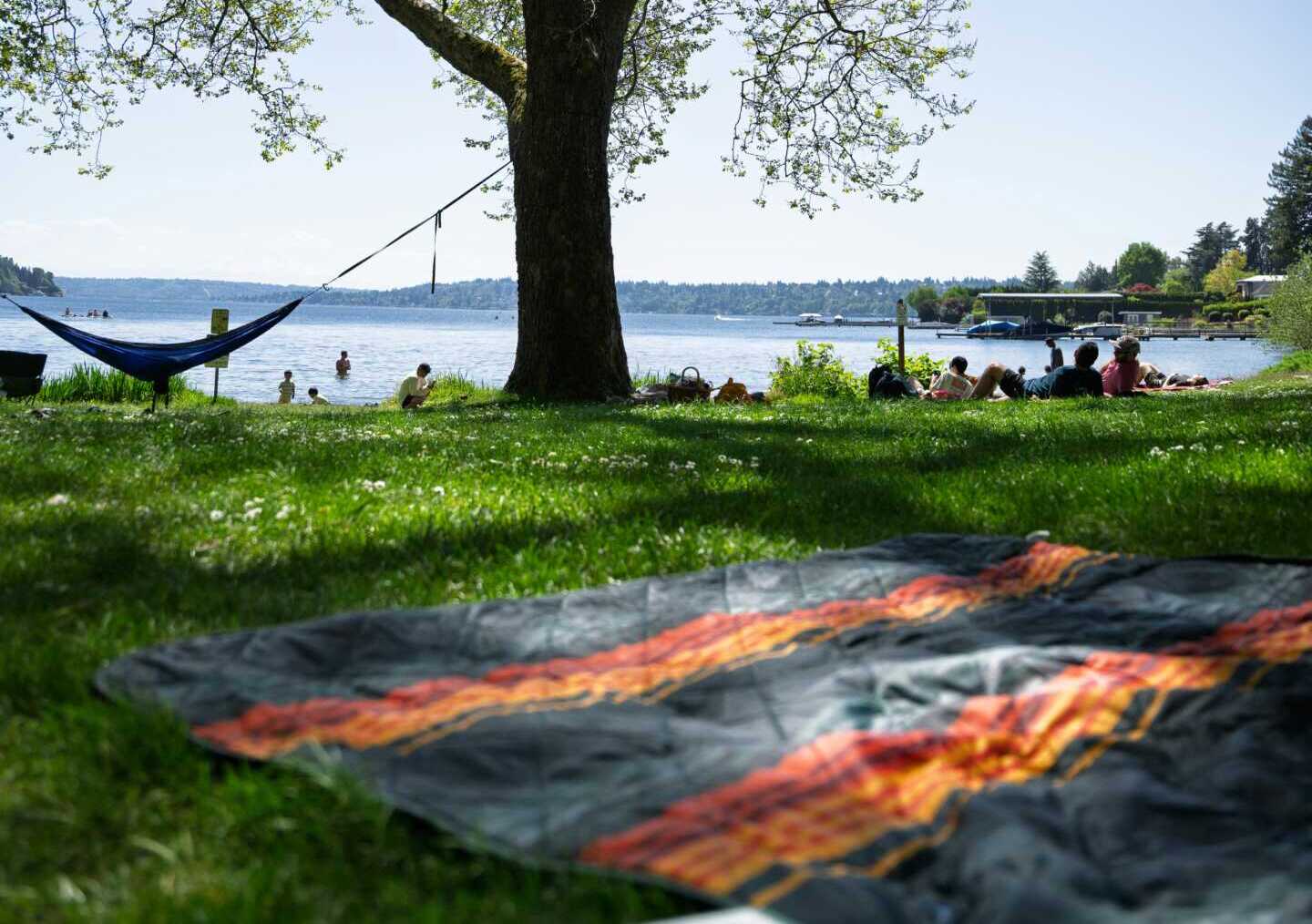 pexels meetjoeblack 37428307 A relaxing scene in a Seattle park with families enjoying a sunny day by the lake.