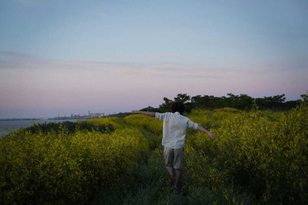 A man walking through tall grass with his arms out with the sunset in the background