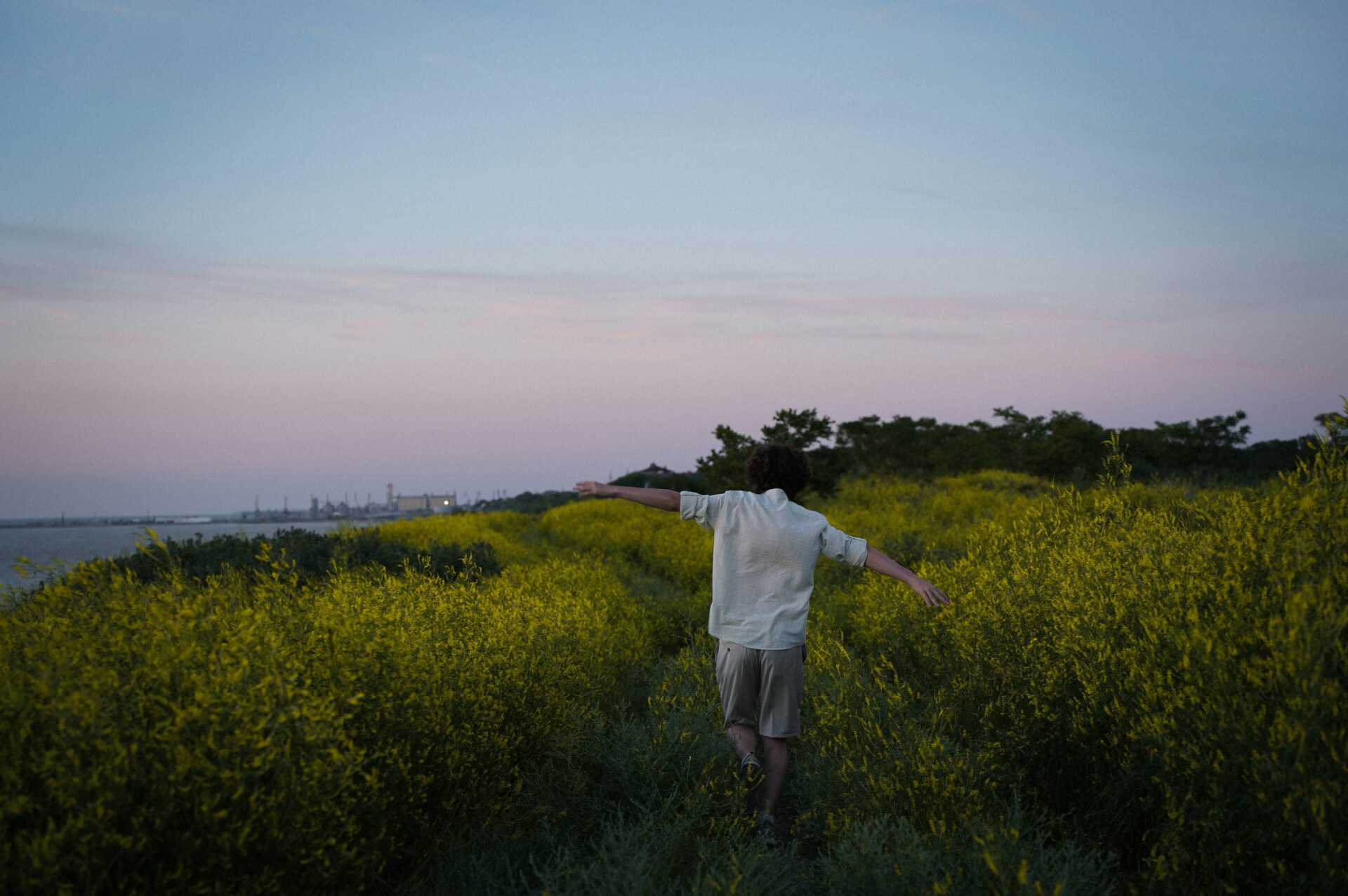 A man walking through tall grass with his arms out with the sunset in the background