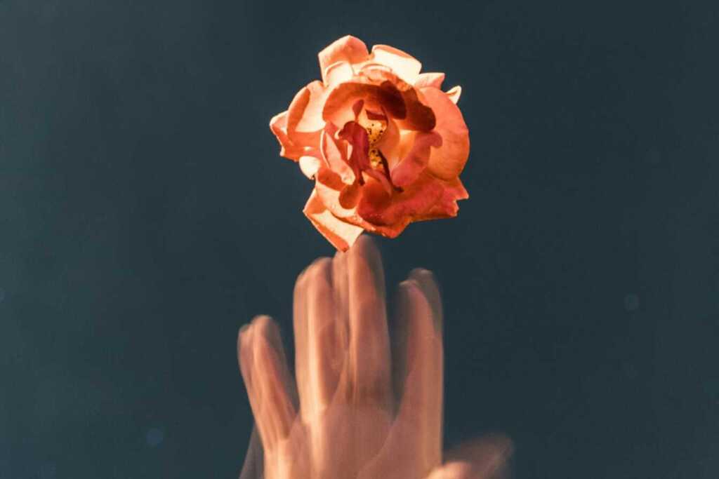 A blurred hand raching for a flower