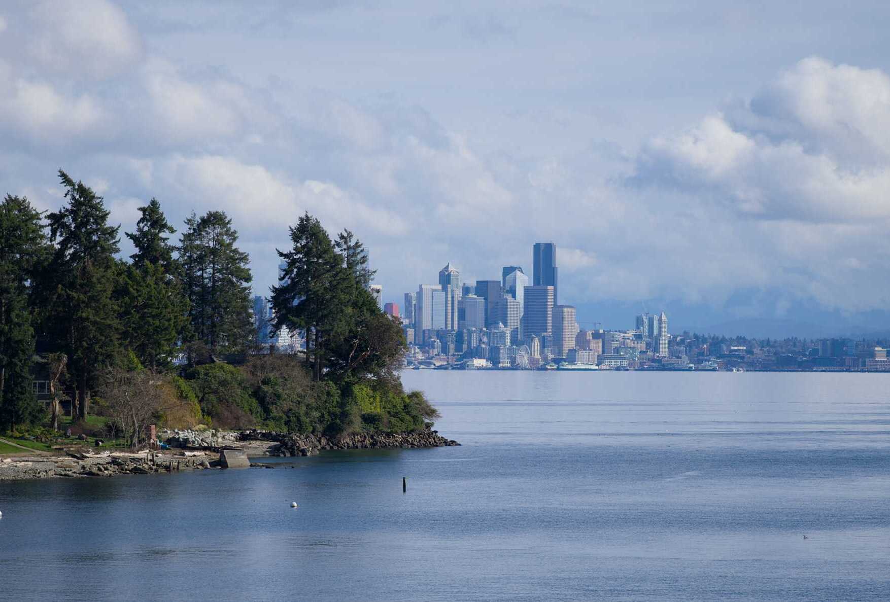 pexels alex stone 37009687 Captivating view of Seattle skyline and Puget Sound with cloudy sky and lush greenery in the foreground.