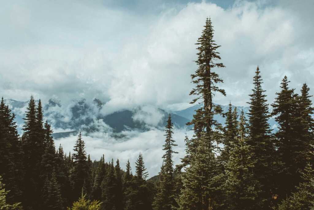 chris henry 97dUlPSS8ik unsplash