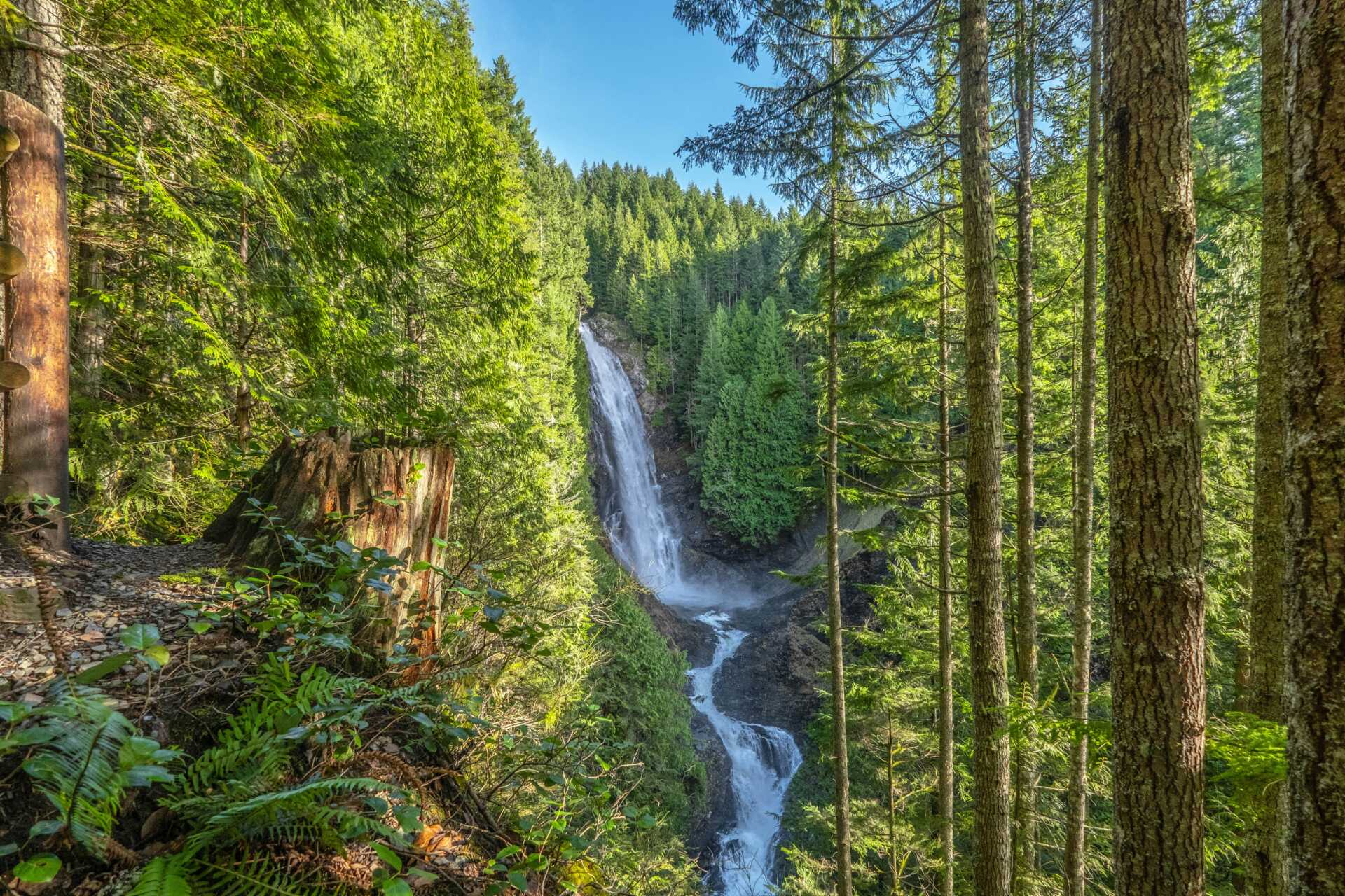 zac gudakov e0jbzcx13Yg unsplash A waterfall in the forest