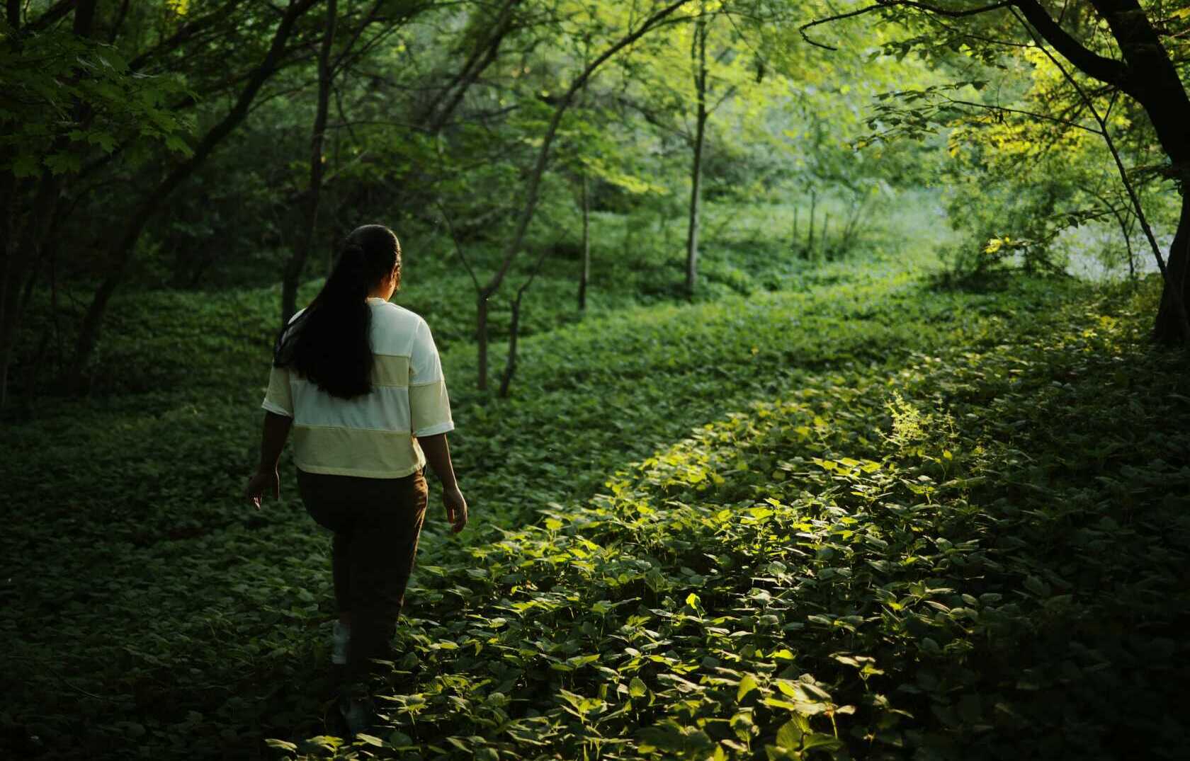 eldhose kuriyan or4xDwcxtAs unsplash A woman walking through a forest trail being pictured from behind